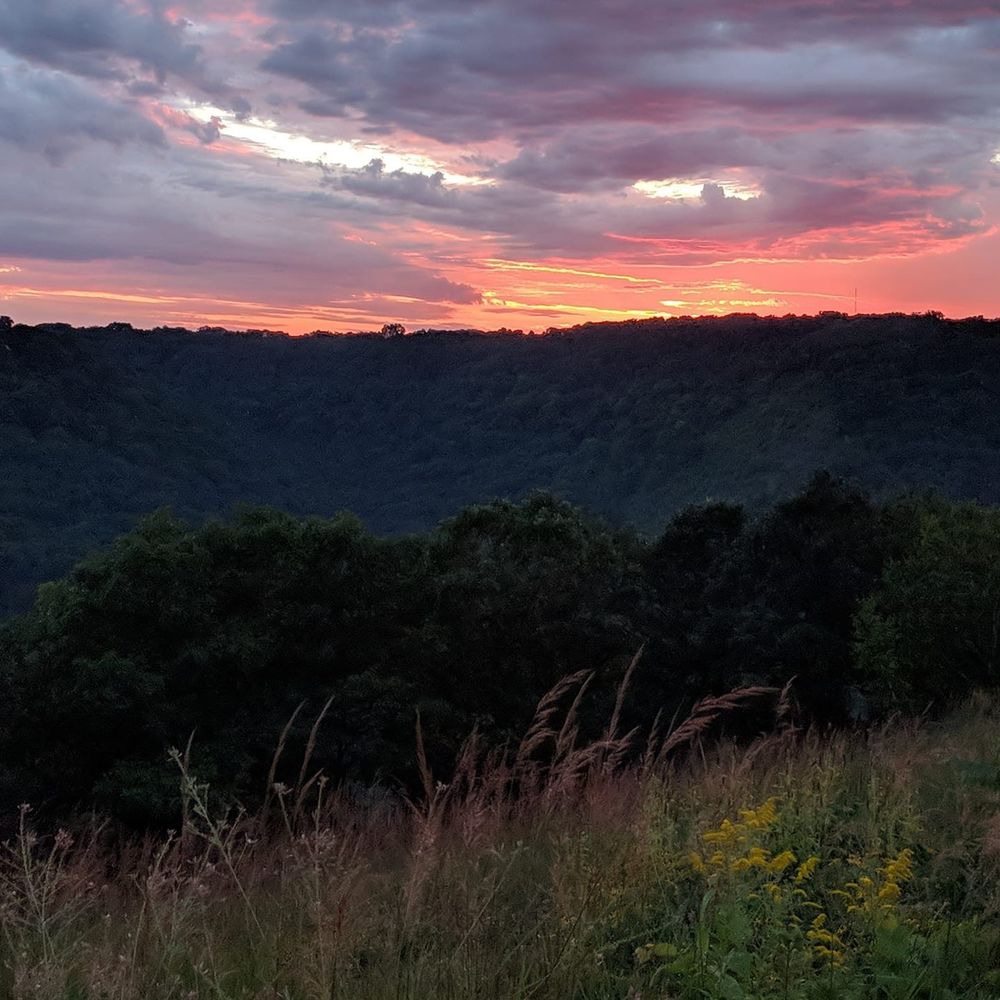 Meet your Posher, Marti